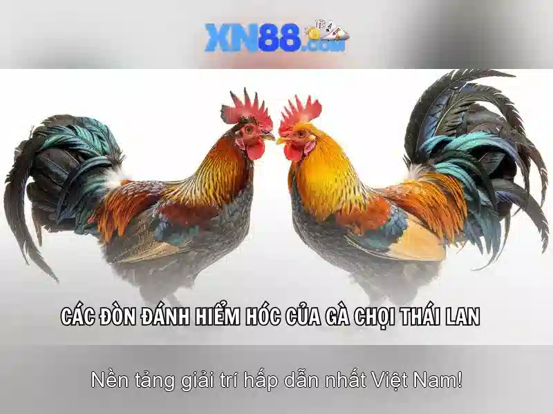 XN88: Nền tảng giải trí trực tuyến uy tín