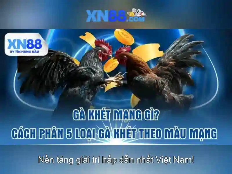 xn88: Nền tảng trò chơi trực tuyến và trải nghiệm người chơi