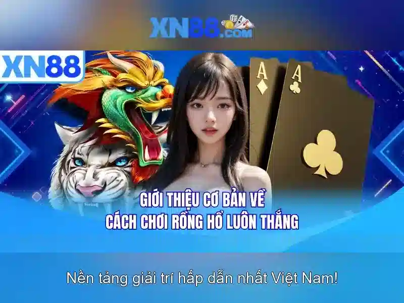 xn88: Nền tảng trò chơi trực tuyến và giải trí