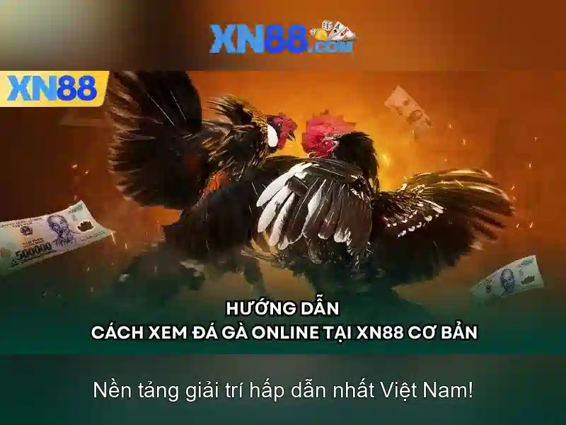 Giới thiệu về xn88