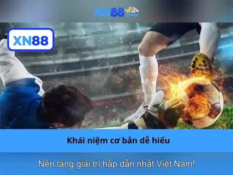 Dieu-khoan-chinh-sach-xn88