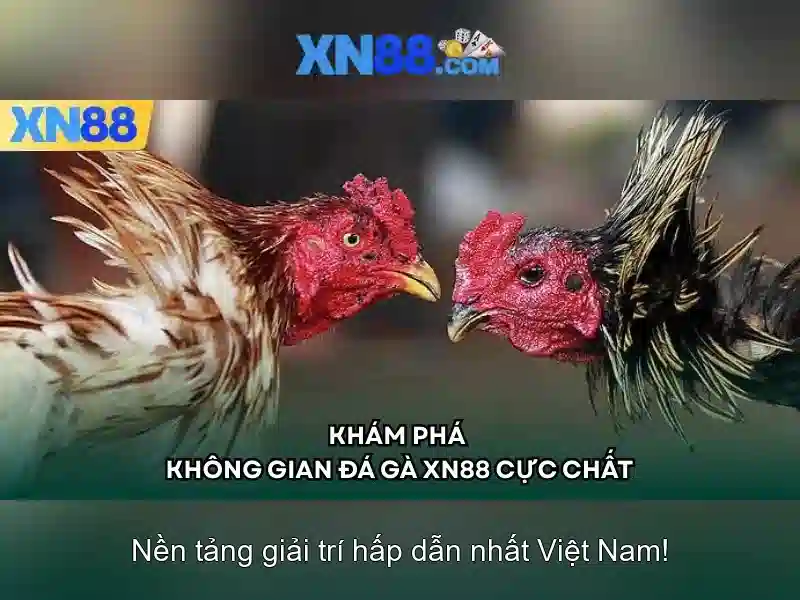 Khuyến mãi và chương trình thưởng Khuyến mãi và chương trình thưởng