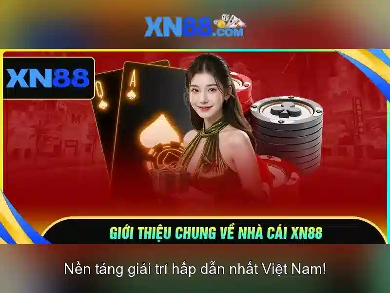 Nền tảng và giao diện người dùng