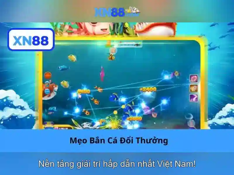Giới thiệu về XN88 Giới thiệu về XN88