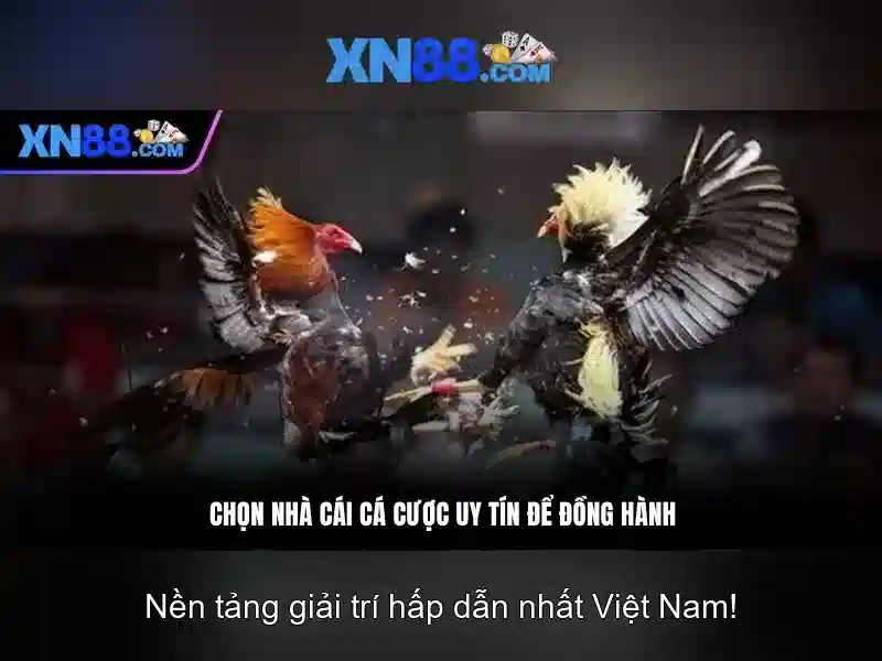 Hướng dẫn tham gia
