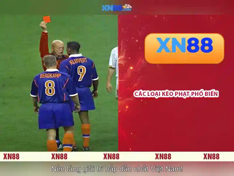 xn88 là gì?