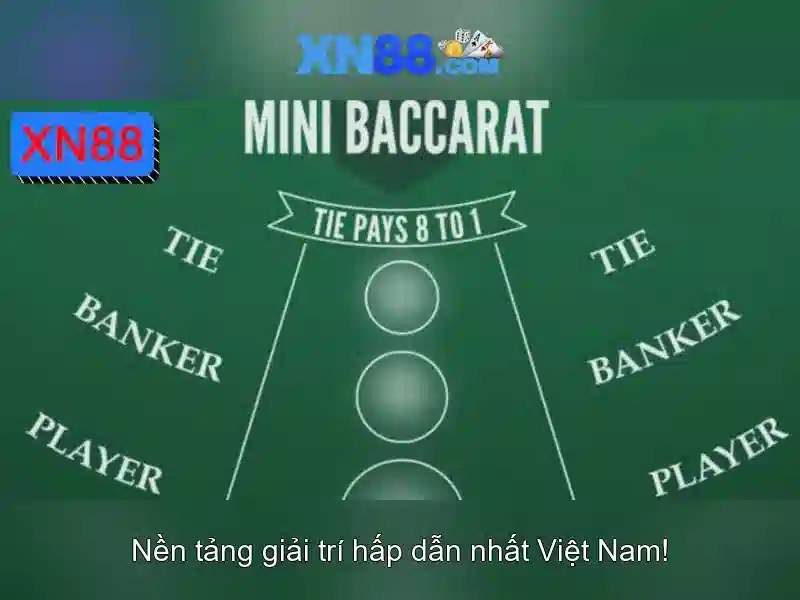 Giới thiệu về xn88