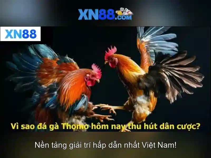 xn88: Nền tảng trò chơi trực tuyến hàng đầu