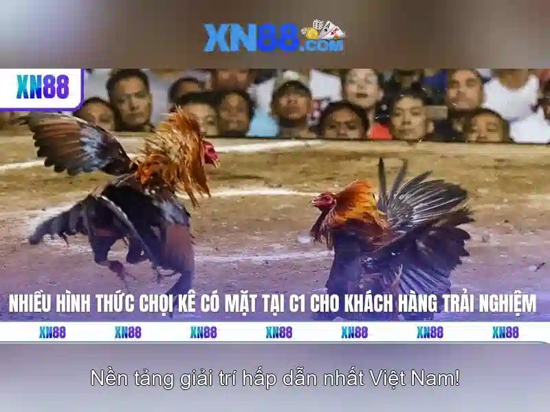 XN88: Nền tảng trò chơi trực tuyến và đánh giá tổng quan
