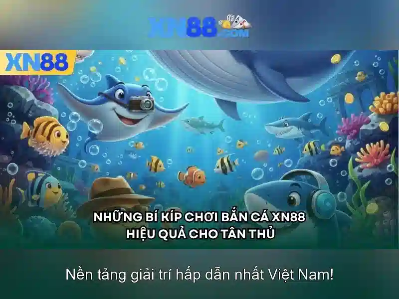 xn88: Nền tảng giải trí trực tuyến và cược an toàn