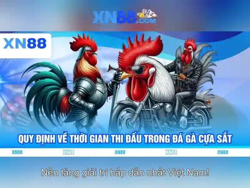 Các dịch vụ chính của XN88 Các dịch vụ chính của XN88