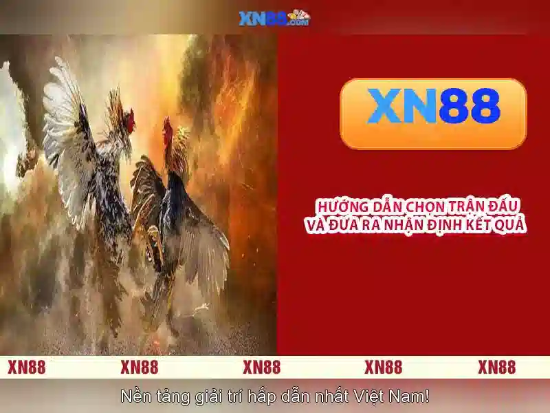 Cookies-thong-bao-xn88