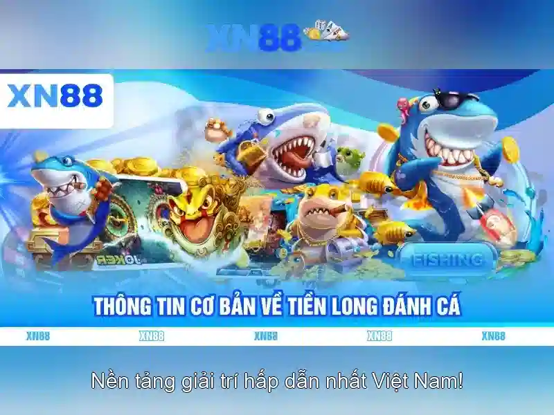 xn88 c: Tổng quan, sản phẩm và hành trình thương hiệu