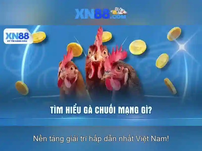 Đặc điểm nổi bật của xn88 Đặc điểm nổi bật của xn88