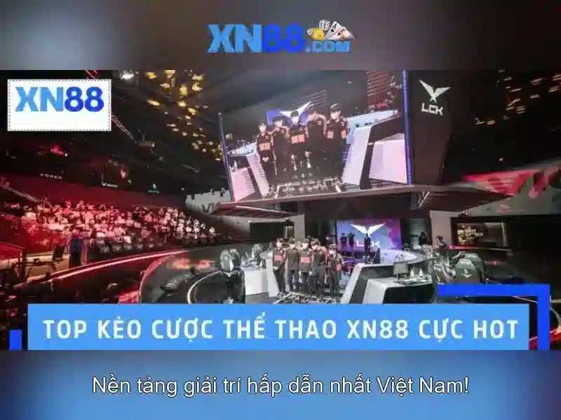 Các tính năng nổi bật