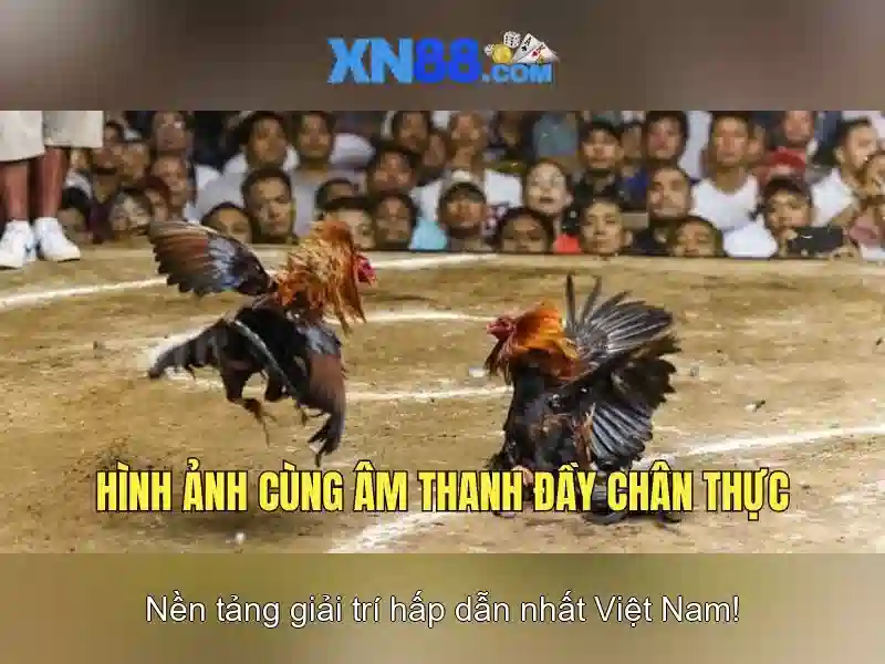 xn88: Nền tảng trò chơi trực tuyến nổi bật