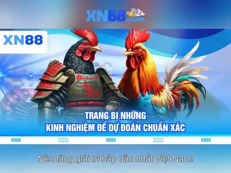xn88: Nền tảng cược trực tuyến và những điều người chơi cần biết