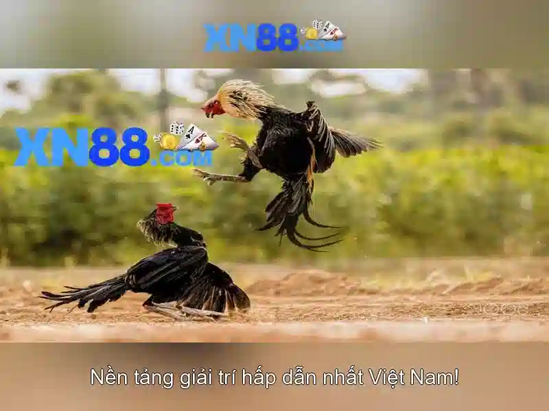 Giao diện người dùng và trải nghiệm di động