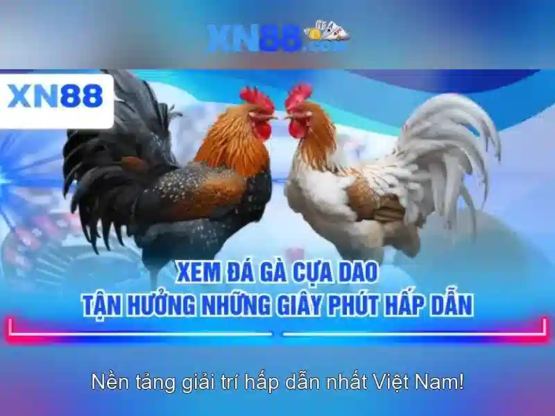 Các tính năng nổi bật của xn88