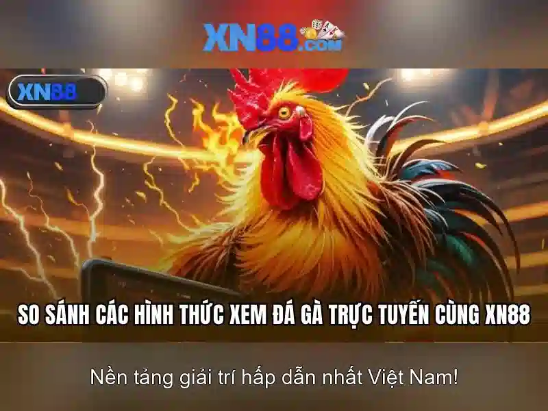 XN88: Giới thiệu và đánh giá