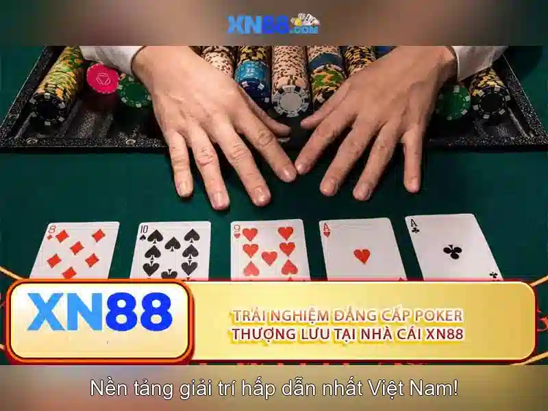 xn88: Tổng quan về nền tảng và những thấu hiểu cơ bản