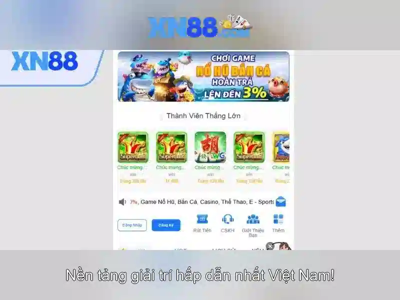 Lịch sử và bối cảnh