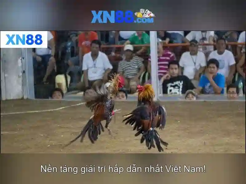 An toàn và đáng tin cậy An toàn và đáng tin cậy