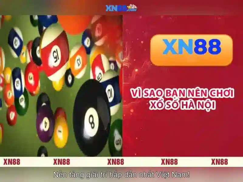 xn88 app.com – Trải nghiệm nền tảng cá cược toàn diện