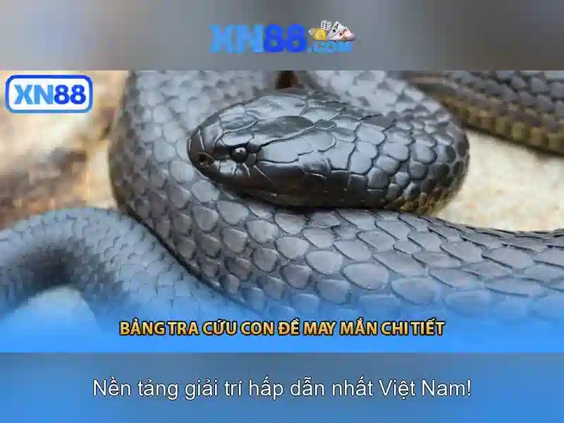 The-tin-dung-nap-tien-xn88
