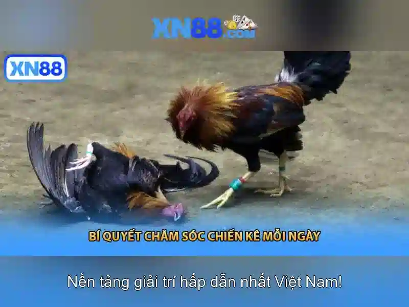 Xn88: Nền tảng chơi trực tuyến và những điều cần biết