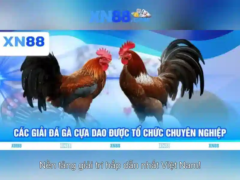 Giới thiệu về xn88 Giới thiệu về xn88