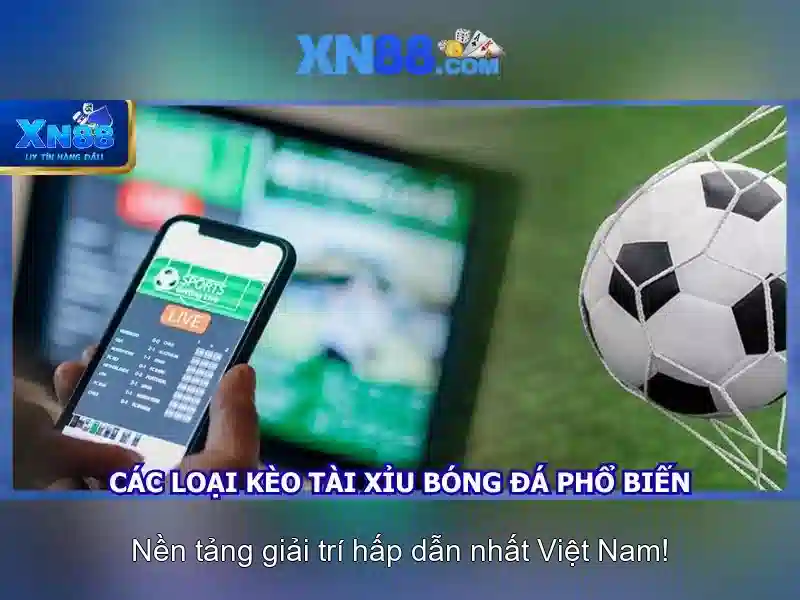 Hình minh họa liên hệ xn88